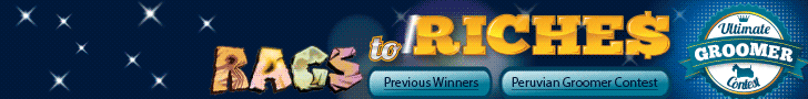 Rags to Riches Ultimate Groomer Contest