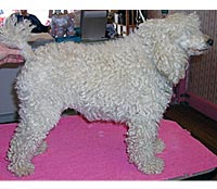 This is Jones before being groomed with Alpha White™