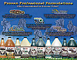 Horse Sense Brochure (inside)