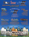 Horse Sense flyer