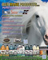 Horse Sense